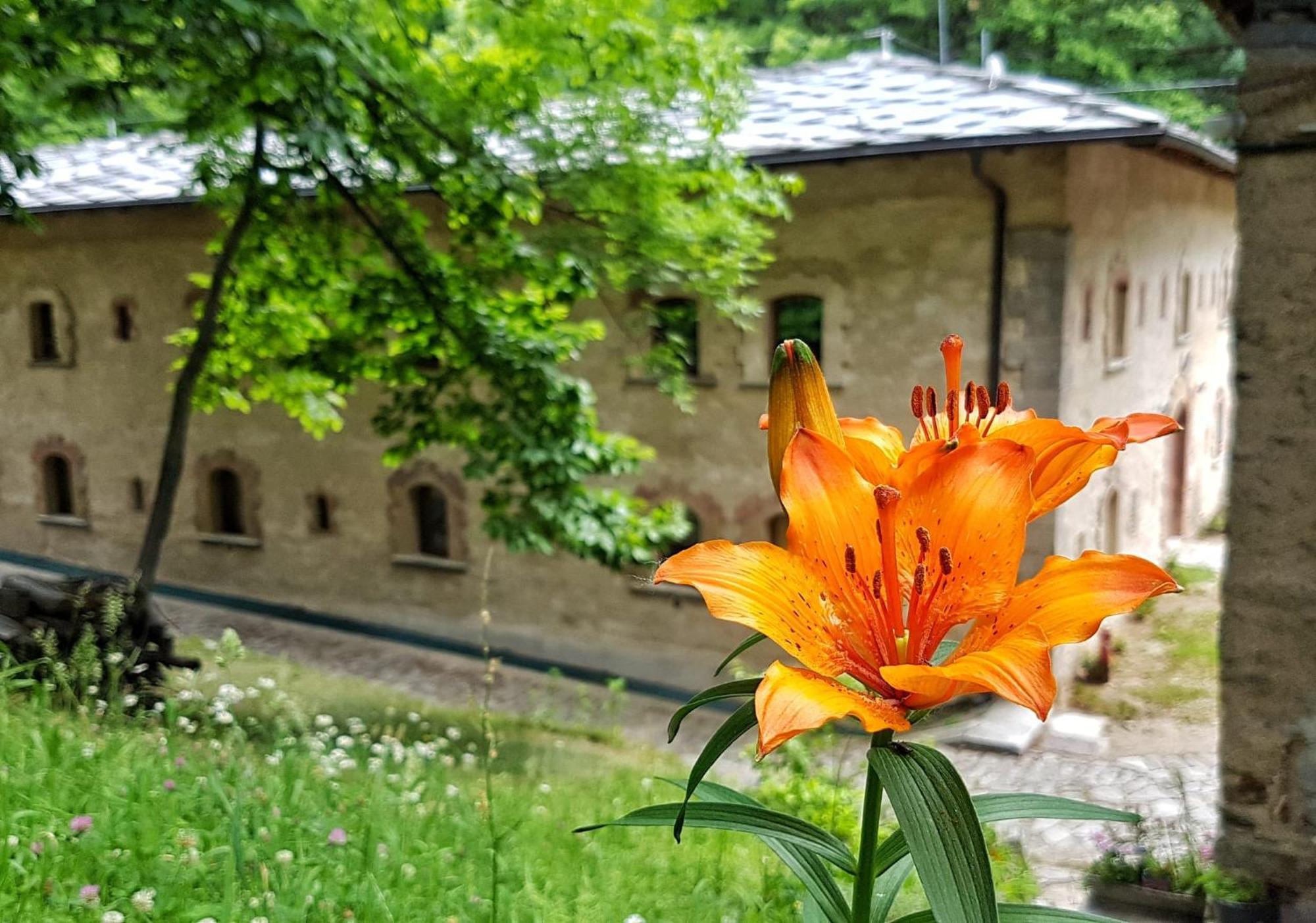 Forte Di Machaby Hostel Arnad Εξωτερικό φωτογραφία